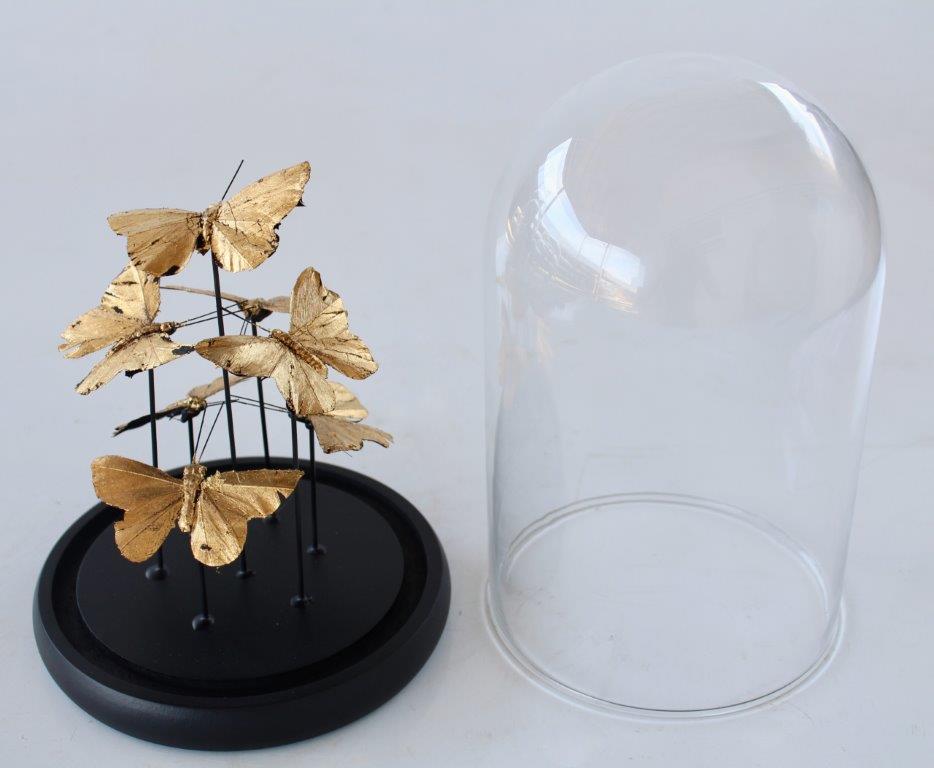 Small Glass Dome Gold Butterflies